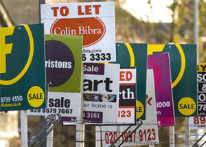 Email Data List Of Estate Agents
